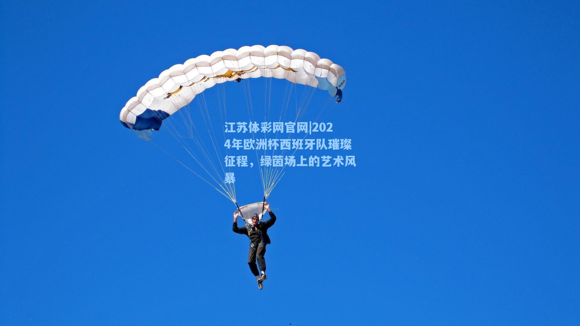 2024年欧洲杯西班牙队璀璨征程,绿茵场上的艺术风暴